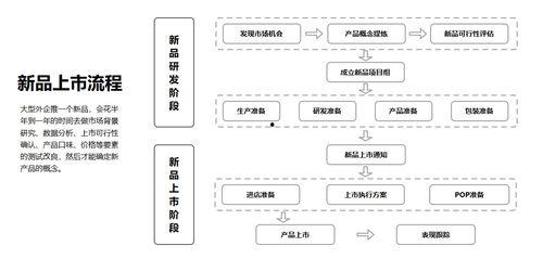 藏宝阁皮肤爆料流程图最新,最新流程图深度解析